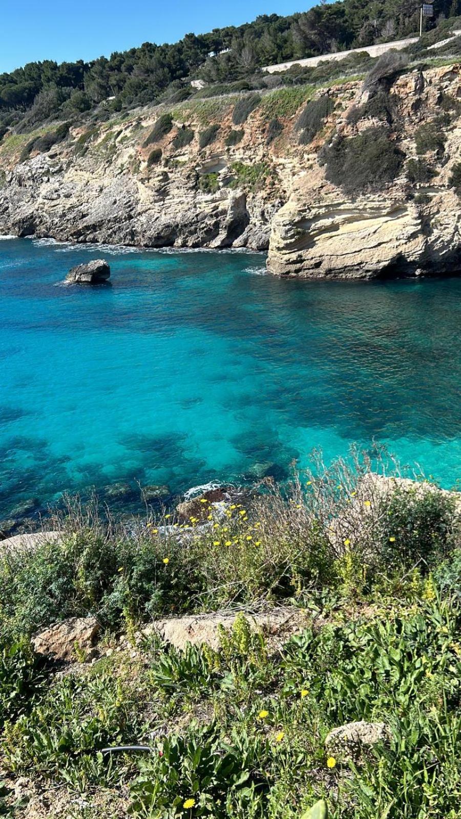 Villetta A Pochi Passi Dal Mare サンタ・チェザーレア・テルメ エクステリア 写真